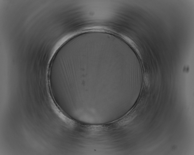 X0000088851482200706291444