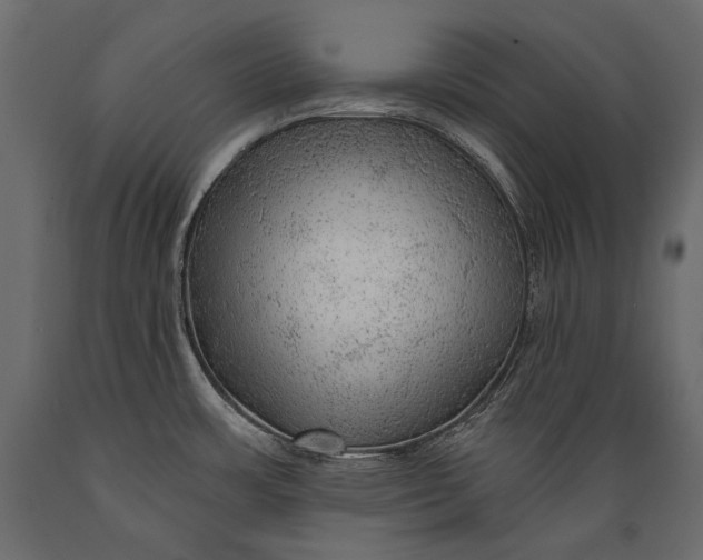 X0000088851483200706291444