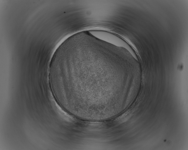 X0000088851484200706291444