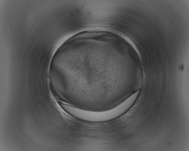 X0000088851485200706291444