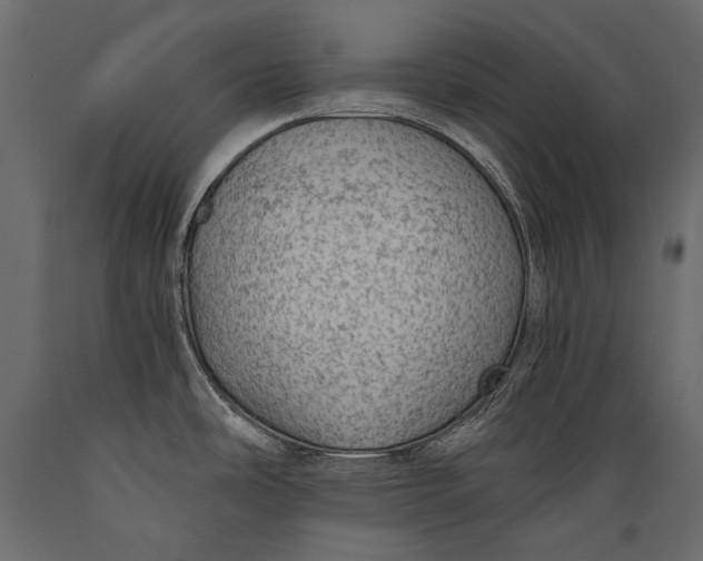 X0000088851486200706291444