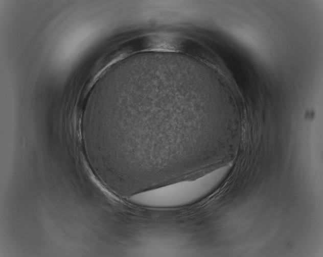 X0000088851487200706291444