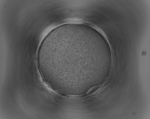 X0000088851488200706291444