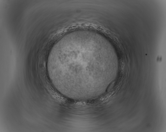 X0000088851489200706291443