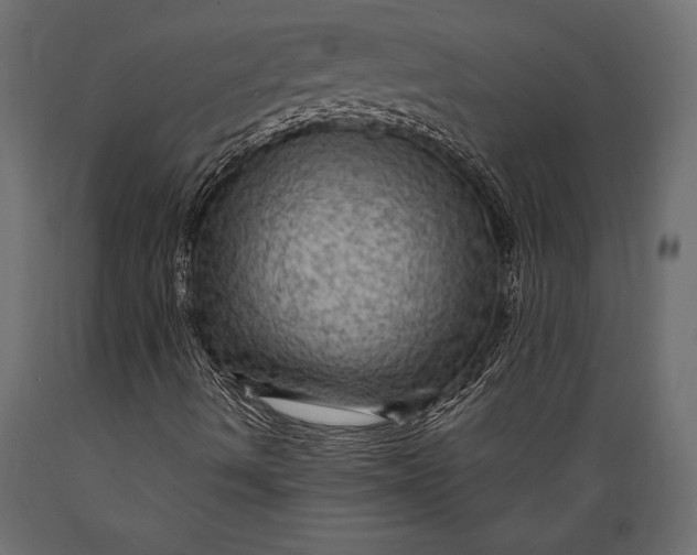 X0000088851490200706291443