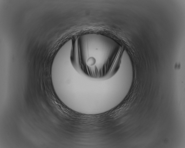 X0000088851492200706291443