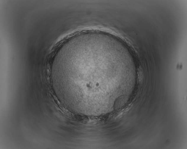 X0000088851494200706291443