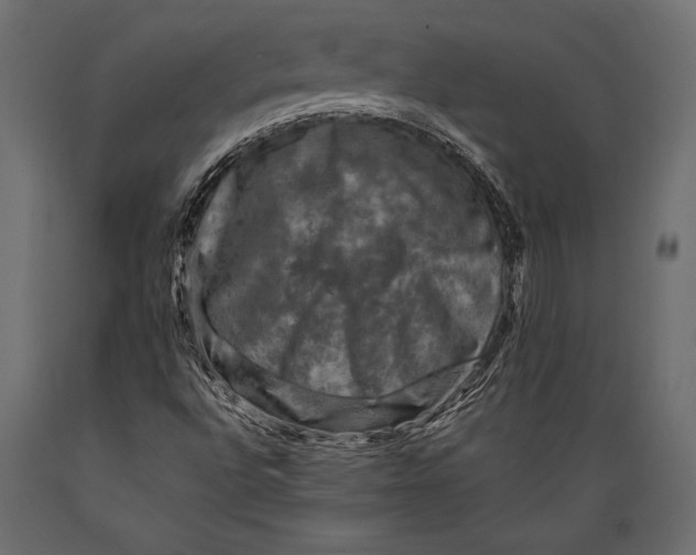 X0000088851496200706291443