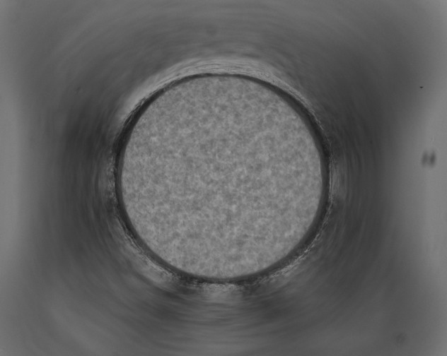 X0000088851498200706291443