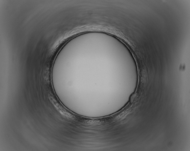 X0000088851499200706291443