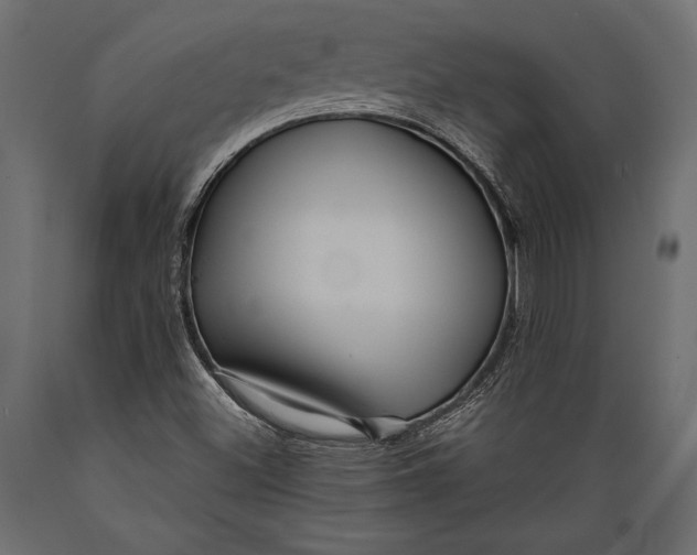 X0000088851500200706291443