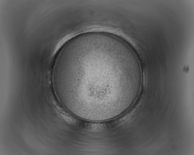 X0000088851501200706291443