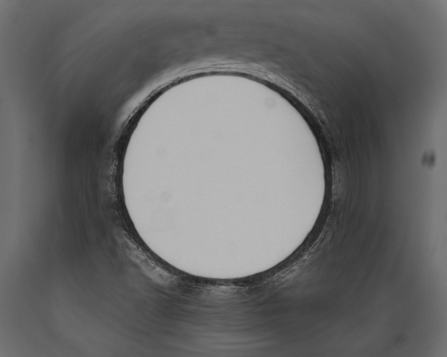 X0000088851502200706291443