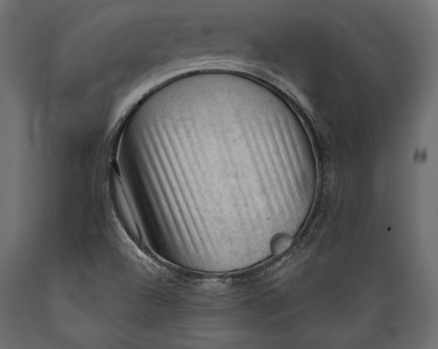 X0000088851504200706291443