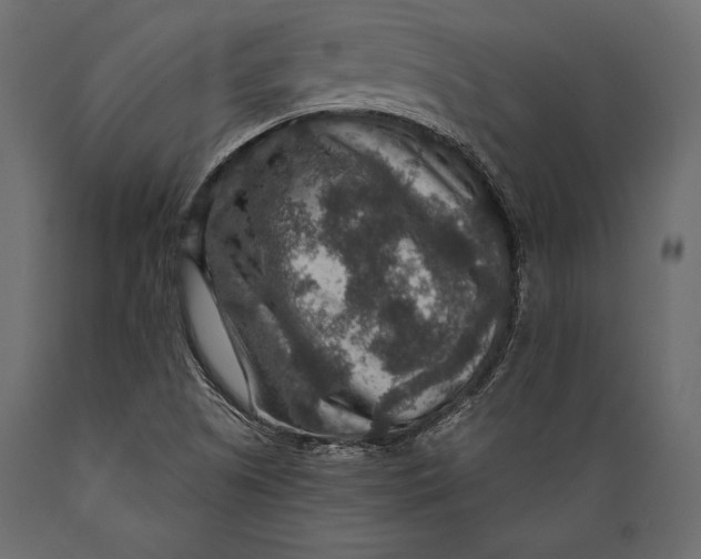 X0000088851505200706291443