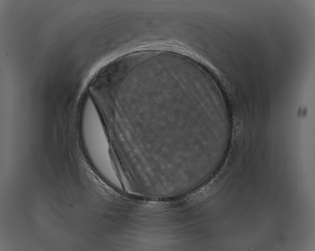 X0000088851506200706291443