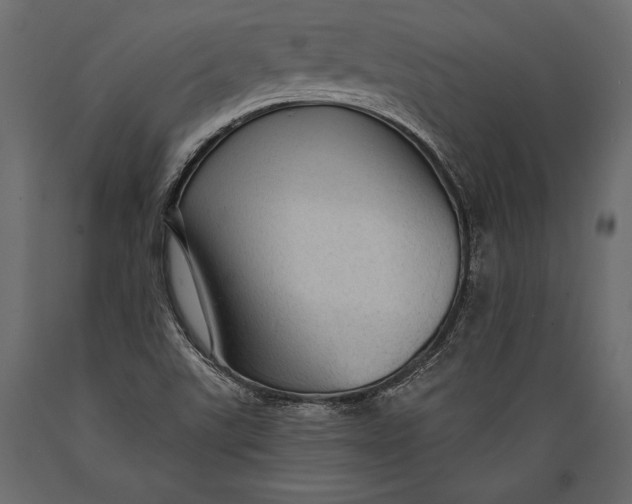 X0000088851507200706291443