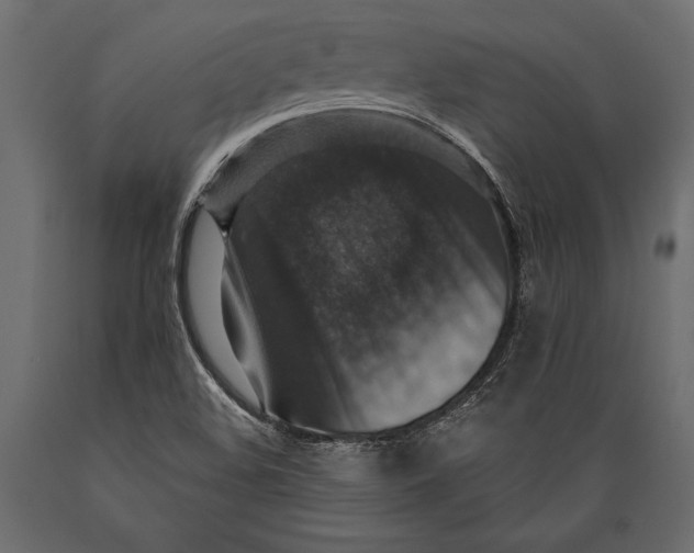 X0000088851508200706291443