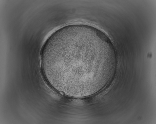 X0000088851509200706291443