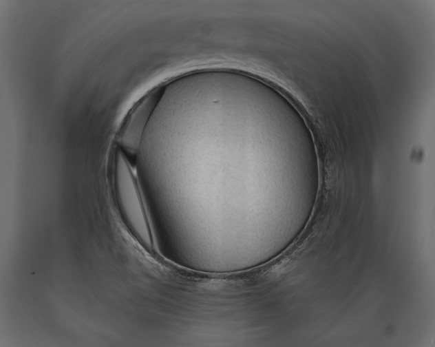 X0000088851510200706291443