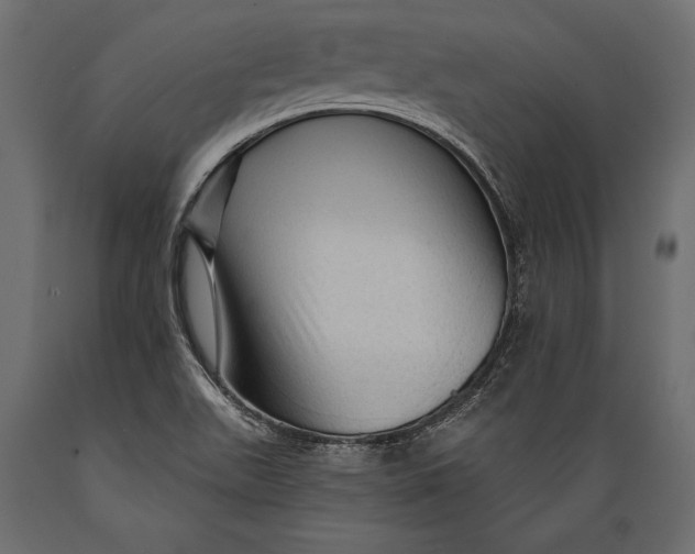 X0000088851511200706291443