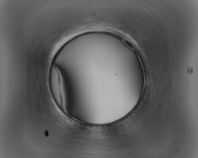 X0000088851512200706291443