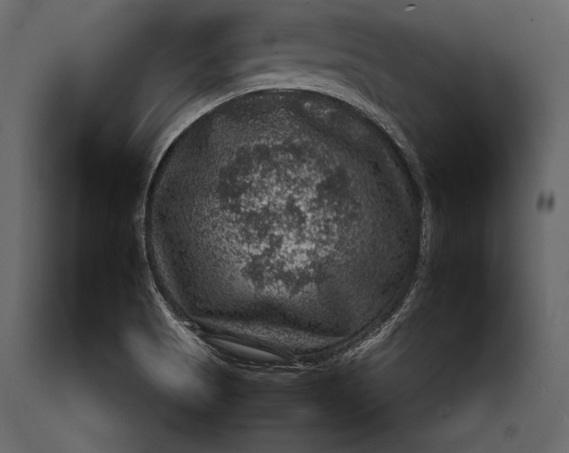 X0000088851513200706291443