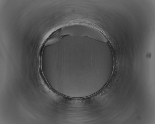 X0000088851515200706291443