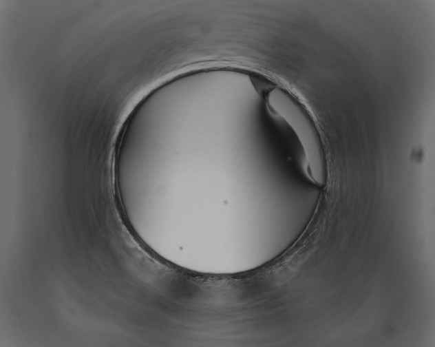 X0000088851516200706291443