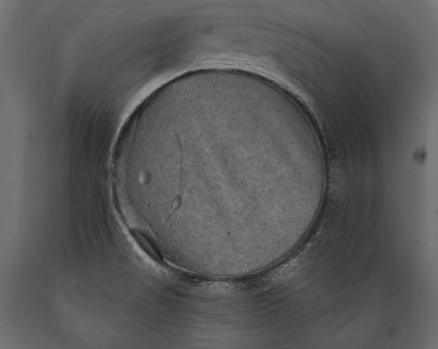 X0000088851517200706291443