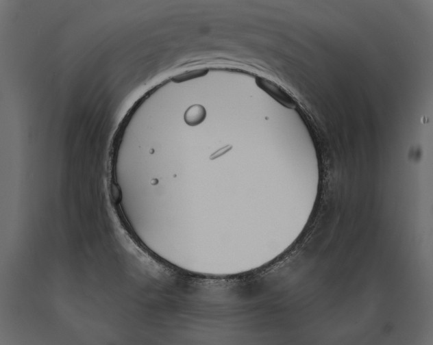 X0000088851518200706291443