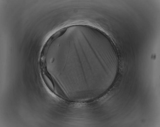 X0000088851519200706291443