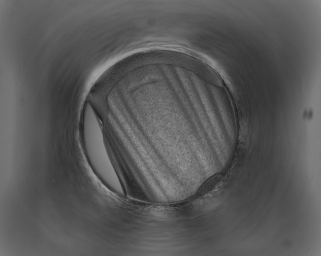 X0000088851520200706291443