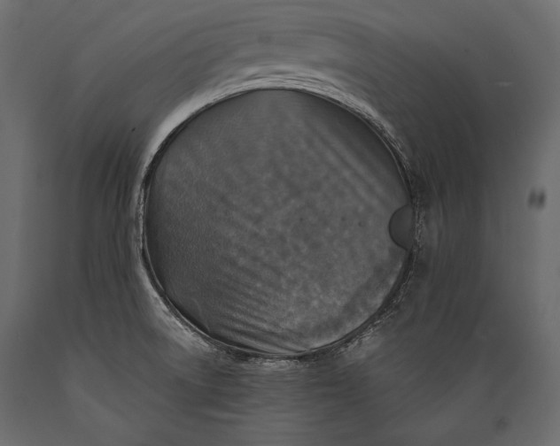 X0000088851522200706291443