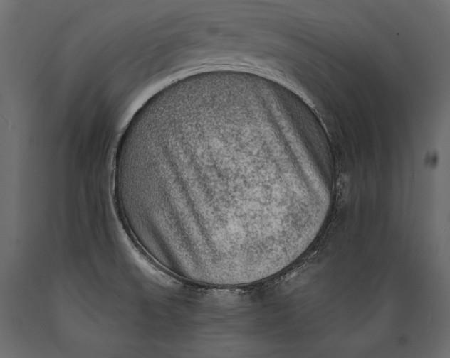 X0000088851523200706291443