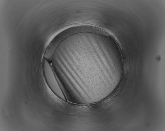 X0000088851524200706291443