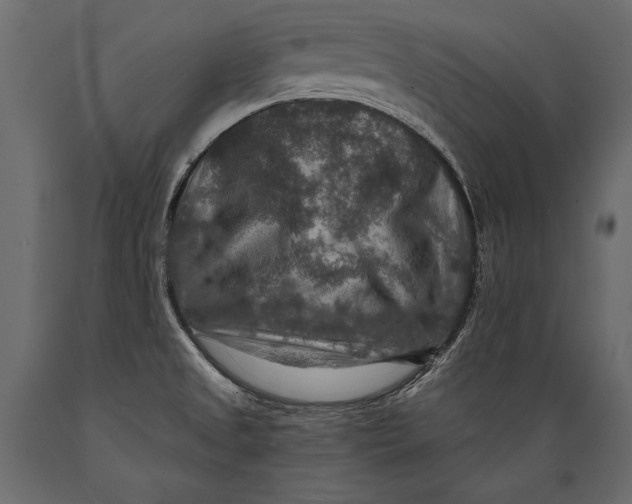 X0000088851525200706291443