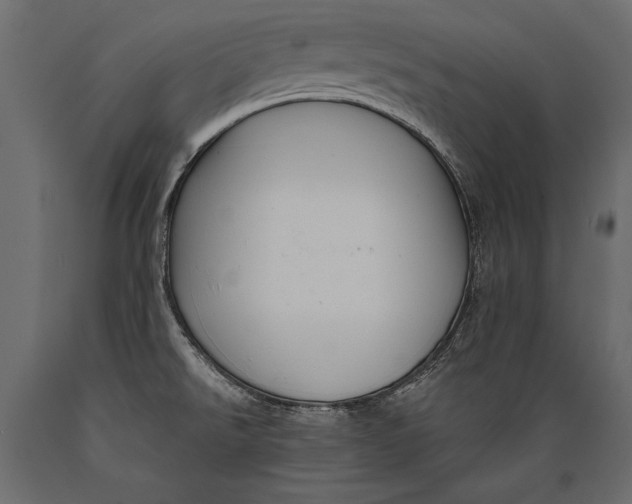 X0000088851526200706291443