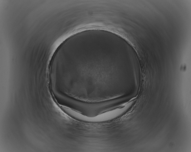 X0000088851527200706291443