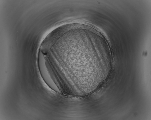 X0000088851528200706291443