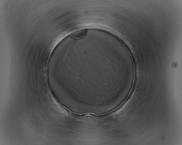 X0000088851529200706291444