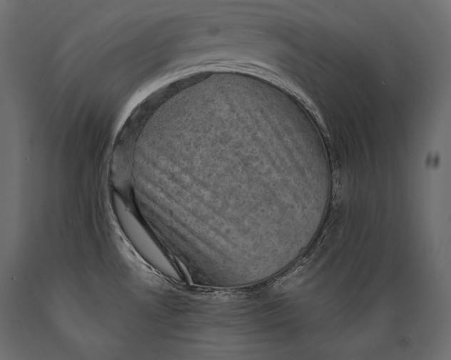 X0000088851530200706291444