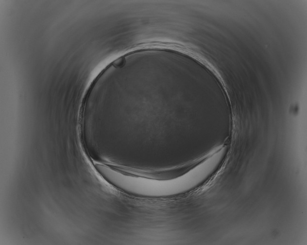 X0000088851533200706291444