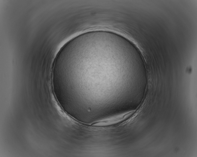 X0000088851534200706291444