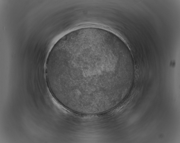 X0000088851535200706291444