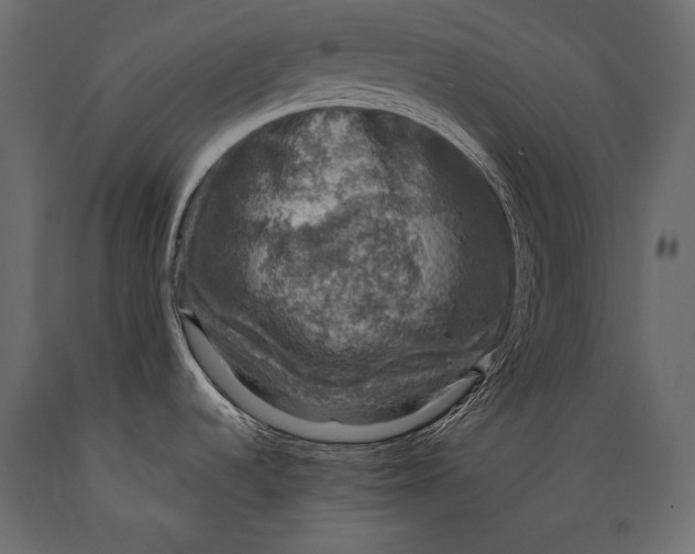 X0000088851536200706291444