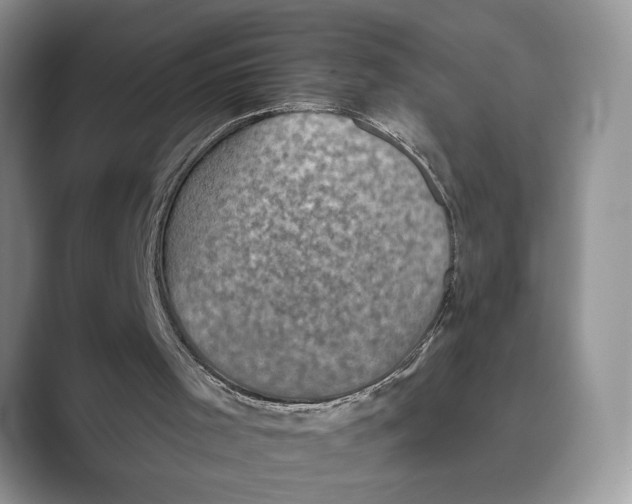 X0000088850001200707061041