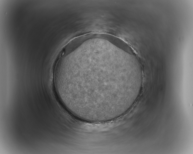 X0000088850005200707061041
