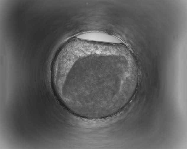 X0000088850006200707061041