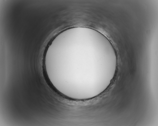 X0000088850007200707061041